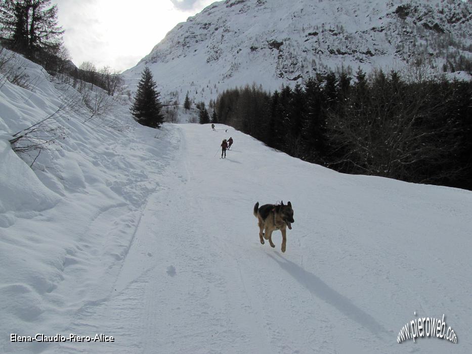 30 In compagnia dei loro cani.jpg